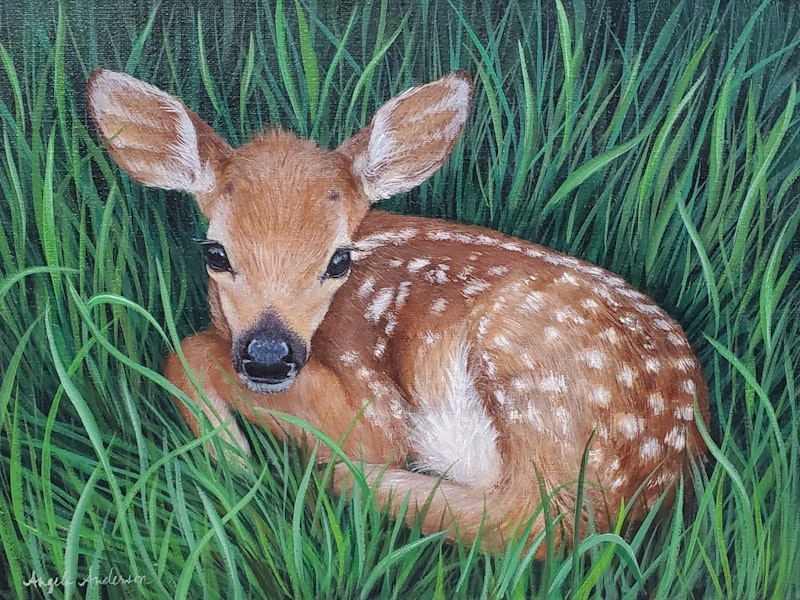 Fawn in Grass Acrylic Painting Tutorial Patreon Challenge Image