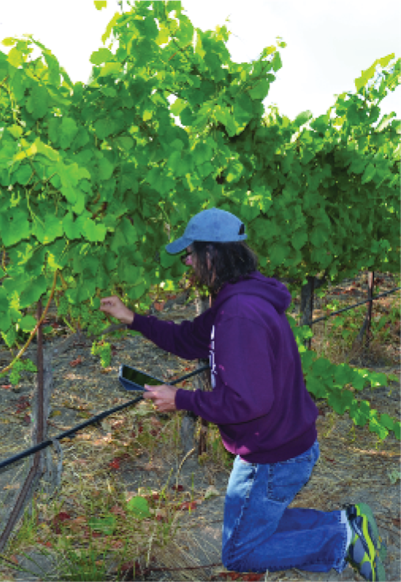 Will you be covering application schedule and types of applications to