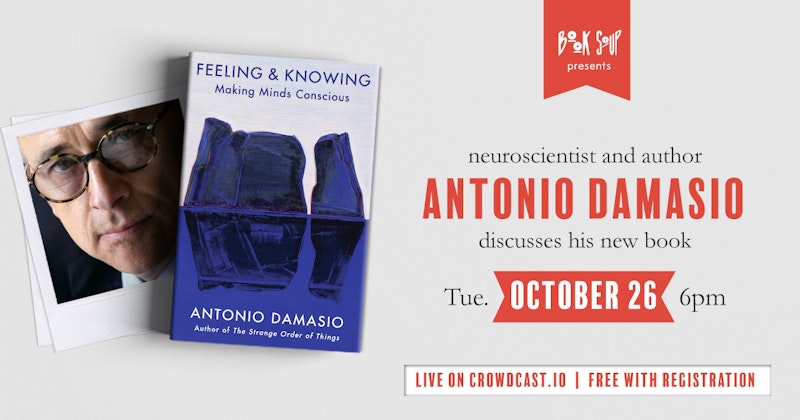 Antonio Damasio  Feeling & Knowing: Making Minds Conscious 