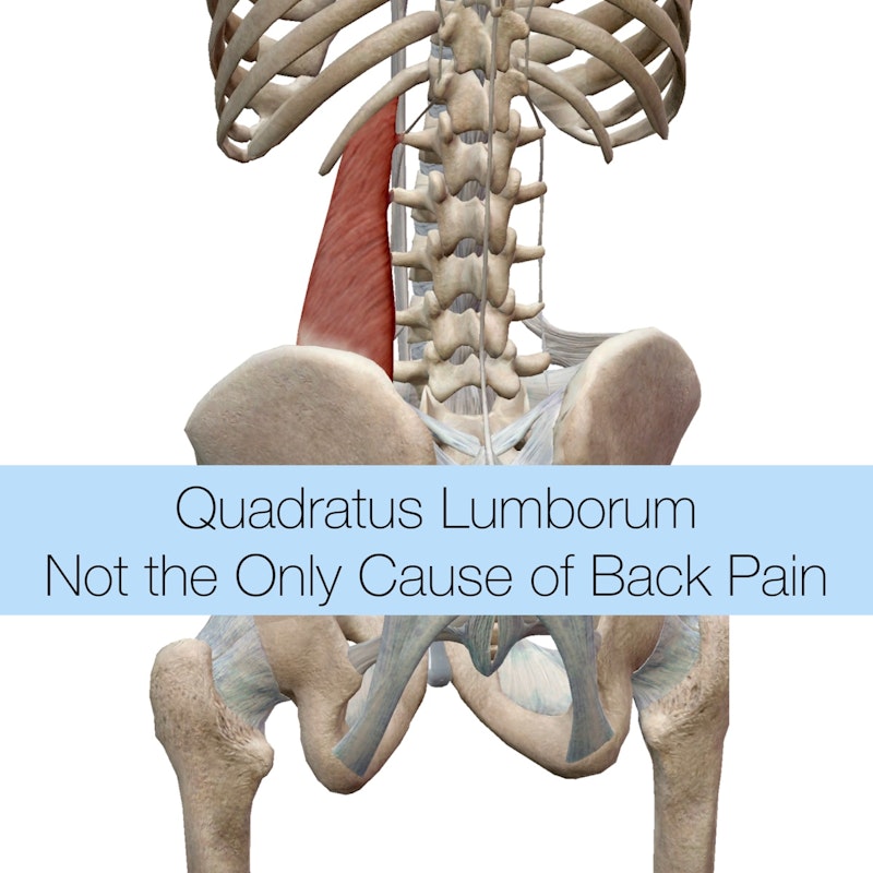 QL: Not the Only Cause of Back Pain - Crowdcast